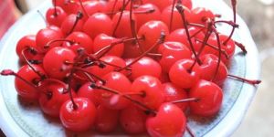 Red Cherry with Stem