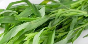 Tarragon