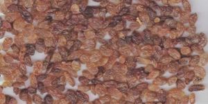 Brown Raisins