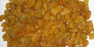 Golden Raisins