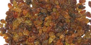 Malayar Raisins