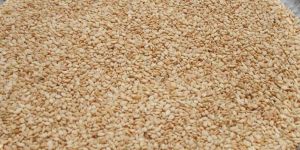 Natural White Sesame Seeds