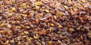 Light Brown Raisins