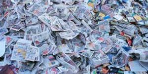 News & Pamps Paper Scraps