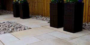 Mint Fossil Sandstone