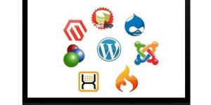 Open Source Development