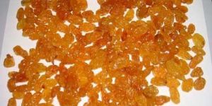 Aditya - Golden Good Average Sulpher Base