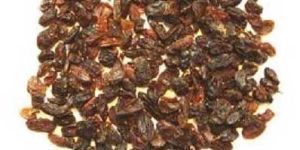 Aditya - Raisin Waste Lowest Grade