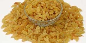 Natural Golden Long Sangli Premium Quality