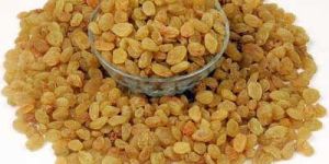 Sangli Golden Medium Round