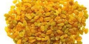 Yellow Raisins