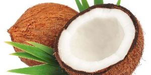 Fresh Coconut