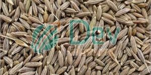 Cumin Seeds