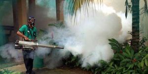 Mosquito Control Gas