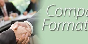 Company Formation Services