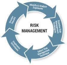 Enterprise Risk Management Services