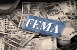 FEMA & RBI Related Services
