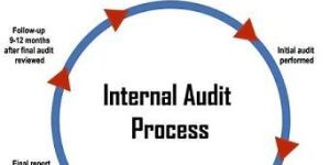 Internal Audit Services