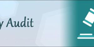 Statutory Audit Services