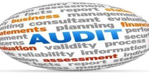 Audit Consultancy