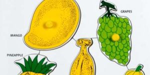 Single Layer Puzzles