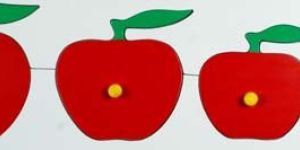 Size And Seriation Tray