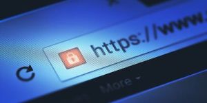 Search Engine Optimization Services