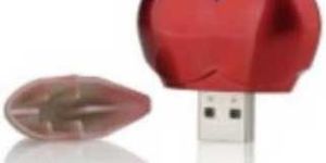 Plastic Pen Drive (CWC-02-015)