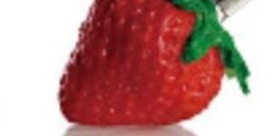 Silicon Pen Drive (CWC-05-040)