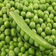 Pea Seeds