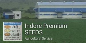 Warehousing Services