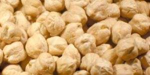 White Chickpeas