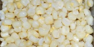 White Corn Seeds
