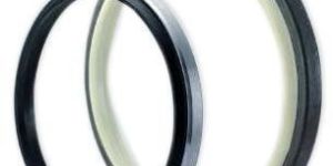 Wiper Seals