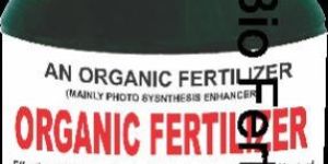 Organic Fertilizer