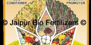 Organic Soil Builder