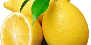 Fresh Lemon