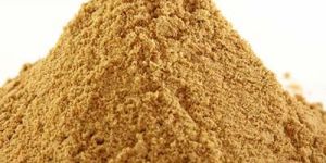 Ginger Powder