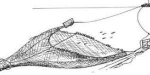 Trawl Nets