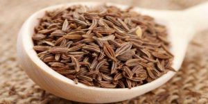 Cumin Seeds