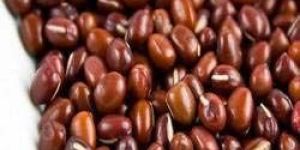 Pigeon Peas