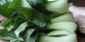 Fresh Baby Bok Choy