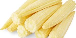 Fresh Baby Corn