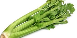 Fresh Celery