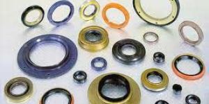 Oil Seals & Oil Rings