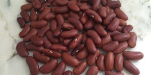 Red Kidney Beans