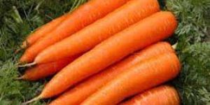 Carrots