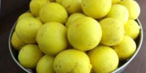 Fresh Lemons