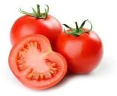 Fresh Tomato
