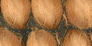 Semi Husked Coconut - 01